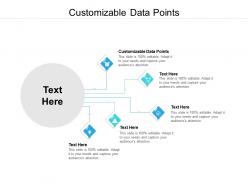 Customizable data points ppt powerpoint presentation icon background image cpb