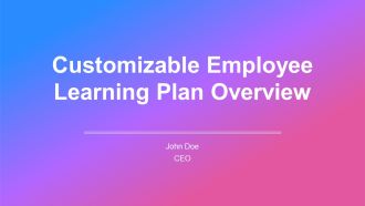 Customizable Employee Learning Plan Overview PPT Summary AT