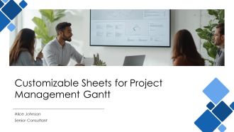 Customizable Sheets For Project Management Gantt PPT Outline AT