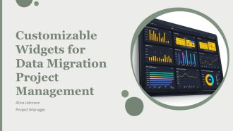 Customizable Widgets For Data Migration Project Management PPT PowerPoint AT