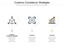 Customs compliance strategies ppt powerpoint presentation slides influencers cpb