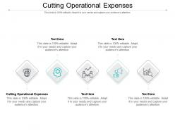 Cutting operational expenses ppt powerpoint presentation infographics gridlines cpb