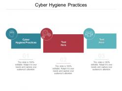Cyber hygiene practices ppt powerpoint presentation infographics mockup cpb