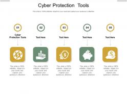 Cyber protection tools ppt powerpoint presentation show portfolio cpb
