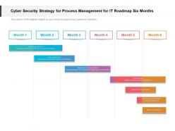 Cyber security strategy for process management for it roadmap six months