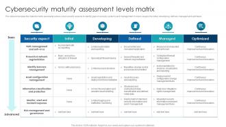 Cybersecurity Maturity Assessment Levels Matrix