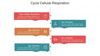 Cycle cellular respiration ppt powerpoint presentation inspiration diagrams cpb