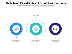 Cycle input output slide of internal business issues