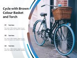 Cycle with brown colour basket and torch