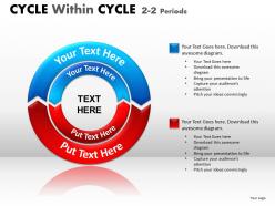 Cycle within cycle diagram ppt 8
