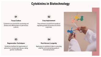 Cytokinins In Biotechnology PPT Presentation ST AI SS Cytokinins In Biotechnology PPT Presentation ST AI SS