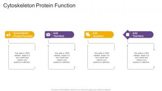 Cytoskeleton Protein Function In Powerpoint And Google Slides Cpb