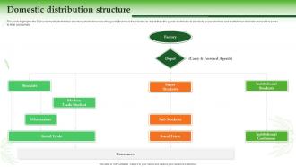 Dabur Company Profile Domestic Distribution Structure Ppt Slides Example Introduction