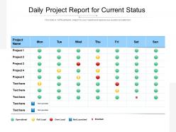 Daily project report for current status
