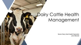 Dairy Cattle Health Management PPT Sample VA