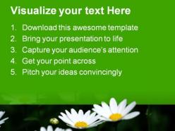 Daisies nature powerpoint templates and powerpoint backgrounds 0311