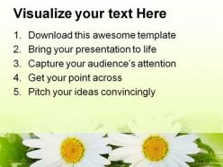 Daisy nature powerpoint templates and powerpoint backgrounds 0311