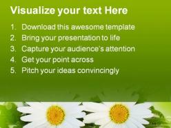 Daisy nature powerpoint templates and powerpoint backgrounds 0311