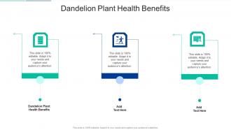 Dandelion Plant Health Benefits In Powerpoint And Google Slides Cpb