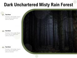 Dark unchartered misty rain forest
