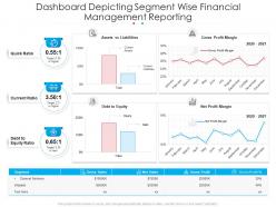 Dashboard Depicting Segment Wise Financial Management Reporting