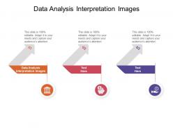Data analysis interpretation images ppt powerpoint presentation portfolio display cpb