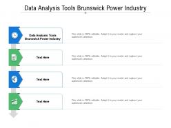 Data analysis tools brunswick power industry ppt powerpoint presentation show layouts cpb