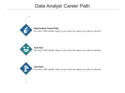 Data analyst career path ppt powerpoint presentation ideas show cpb