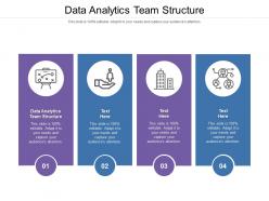 Data analytics team structure ppt powerpoint presentation gallery graphic tips cpb