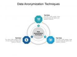 Data anonymization techniques ppt powerpoint presentation slides example cpb