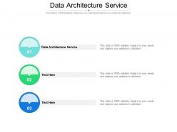 Data architecture service ppt powerpoint presentation professional infographics cpb