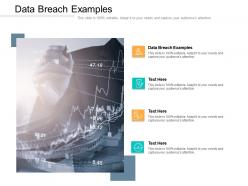 Data breach examples ppt powerpoint presentation outline template cpb