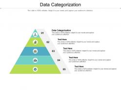 Data categorization ppt powerpoint presentation show brochure cpb
