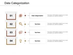 Data categorization ppt powerpoint presentation styles templates cpb