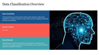 Data Classification Policy Essentials PPT Graphics AT Aesthatic Downloadable