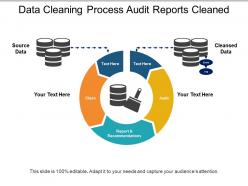Data cleaning process audit reports cleaned