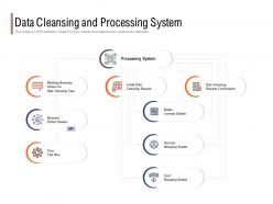 Data cleansing and processing system