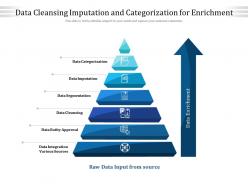 Data cleansing imputation and categorization for enrichment