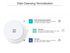 Data cleansing normalization ppt powerpoint presentation model shapes cpb