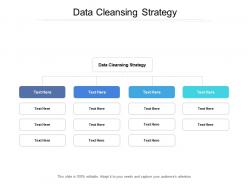 Data cleansing strategy ppt powerpoint presentation professional good cpb