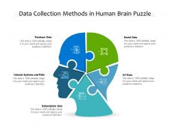 Data collection methods in human brain puzzle