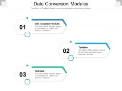 Data conversion modules ppt powerpoint presentation show microsoft cpb