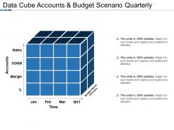 Data cube accounts and budget scenario quarterly