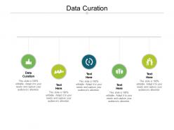 Data curation ppt powerpoint presentation file graphics example cpb