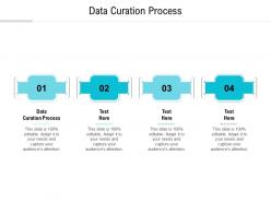 Data curation process ppt powerpoint presentation layouts infographic template cpb