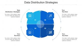 Data distribution strategies ppt powerpoint presentation file examples cpb