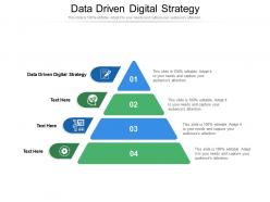 Data driven digital strategy ppt powerpoint presentation icon diagrams cpb
