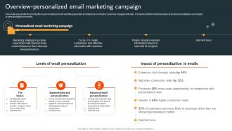 Data Driven Marketing Campaign Overview Personalized Email Marketing Campaign MKT SS V