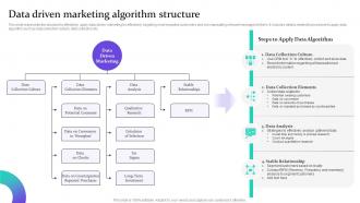 Data Driven Marketing For Increasing Customer Data Driven Marketing Algorithm Structure MKT SS V
