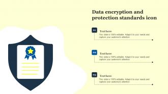 Data Encryption And Protection Standards Icon